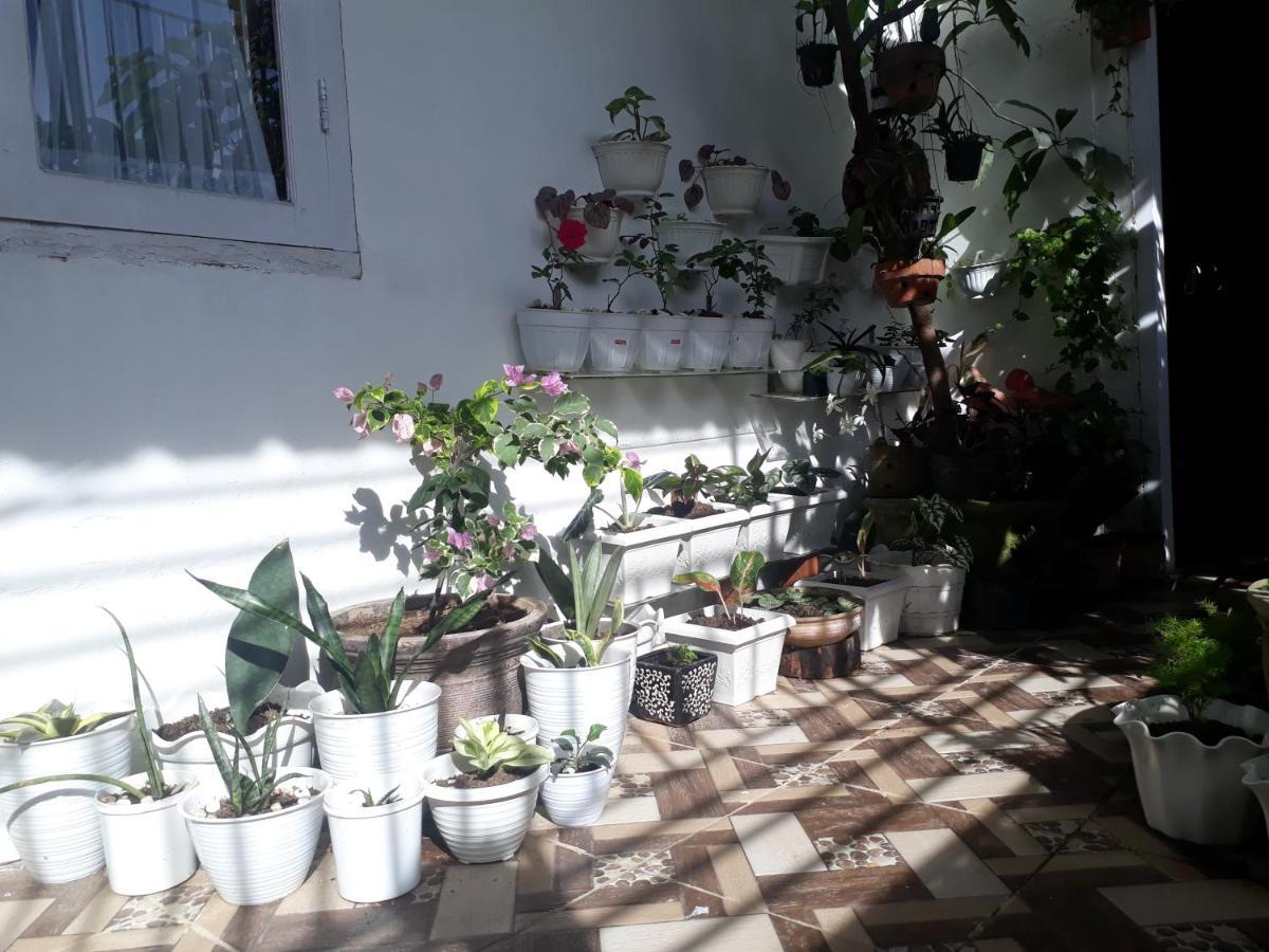 Bumimi Homestay Painan Exteriér fotografie