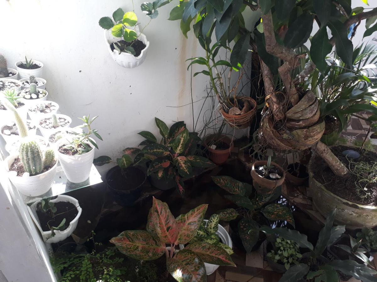 Bumimi Homestay Painan Exteriér fotografie